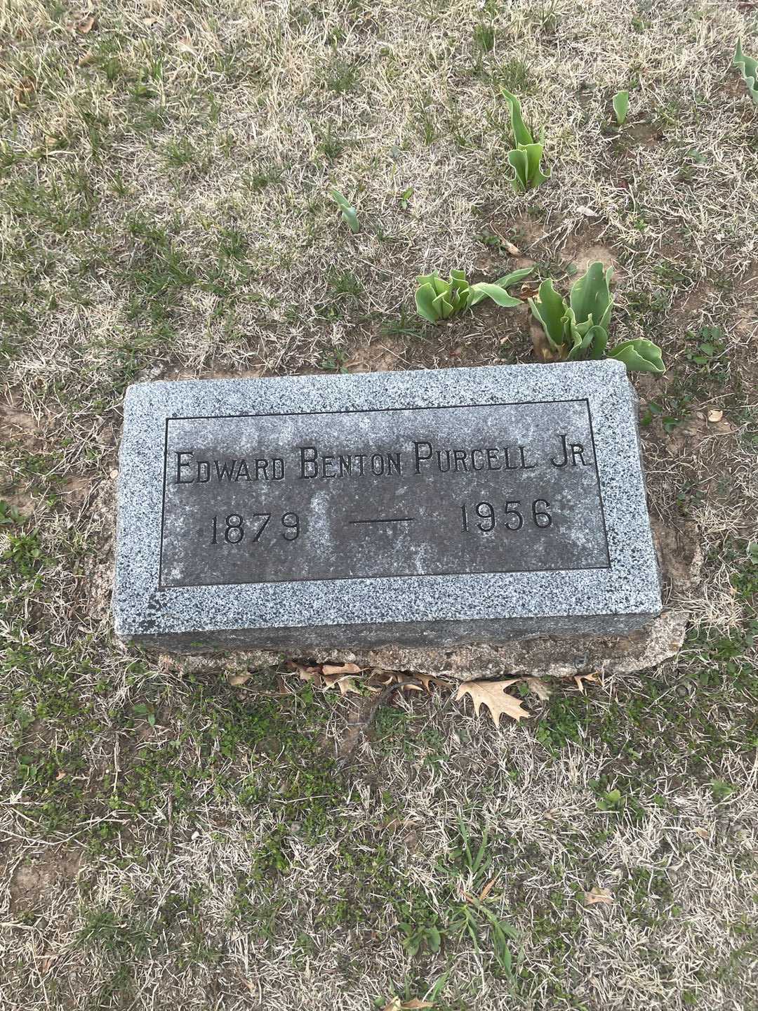 Edward Benton Purcell Junior's grave. Photo 3