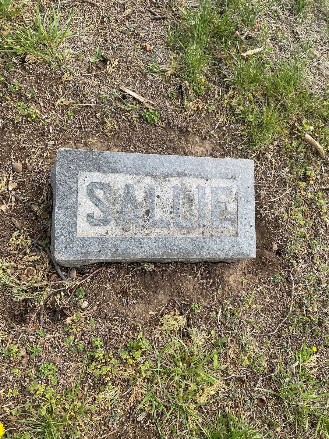 Sallie Ada Yenawine's grave. Photo 3