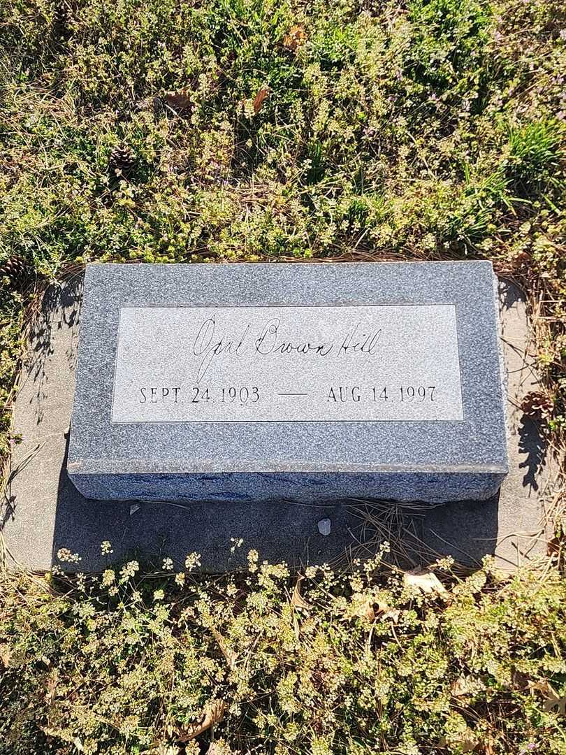 Opal Brown Hill's grave. Photo 3