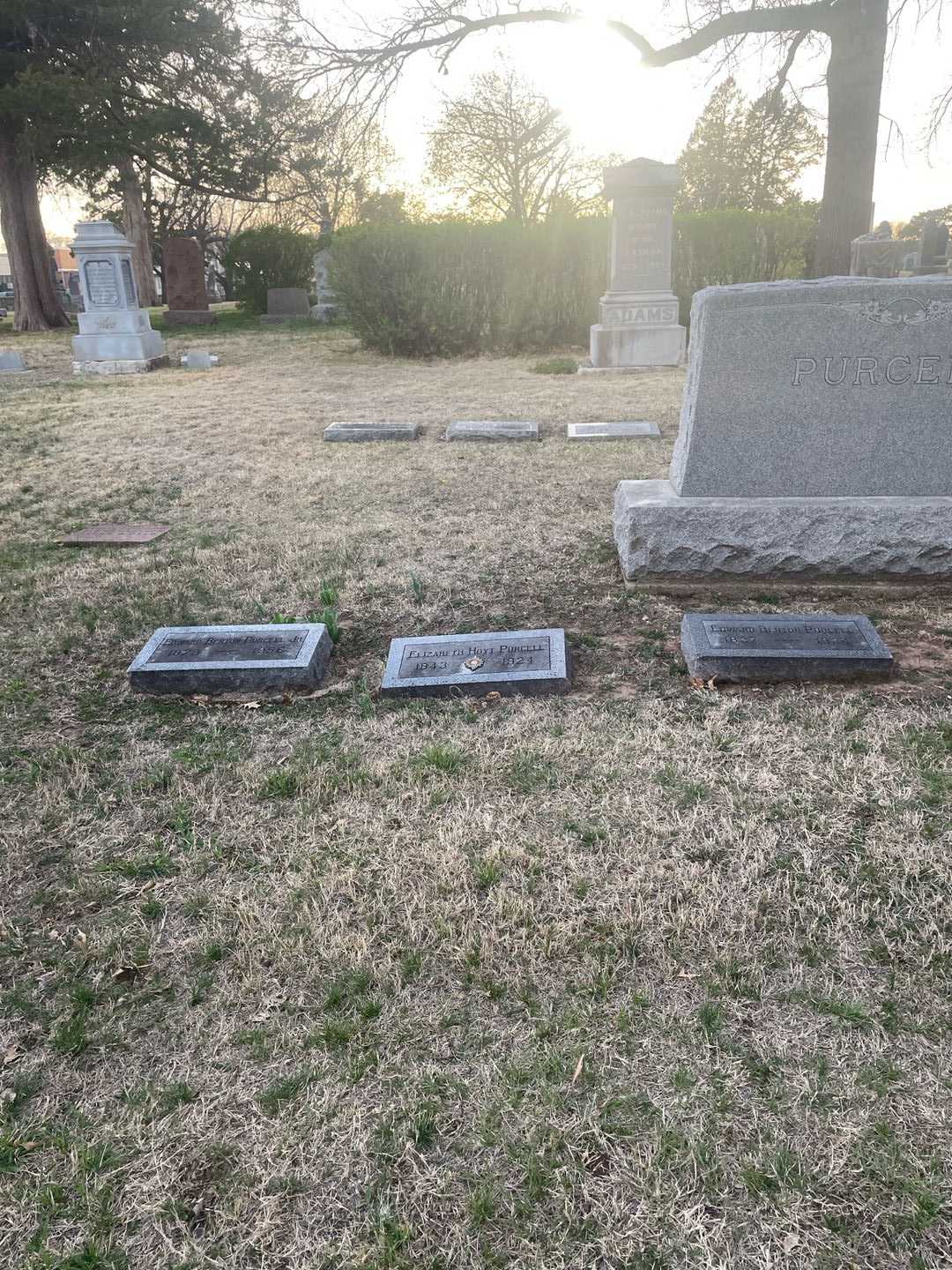 Elizabeth Hoyt Purcell's grave. Photo 2