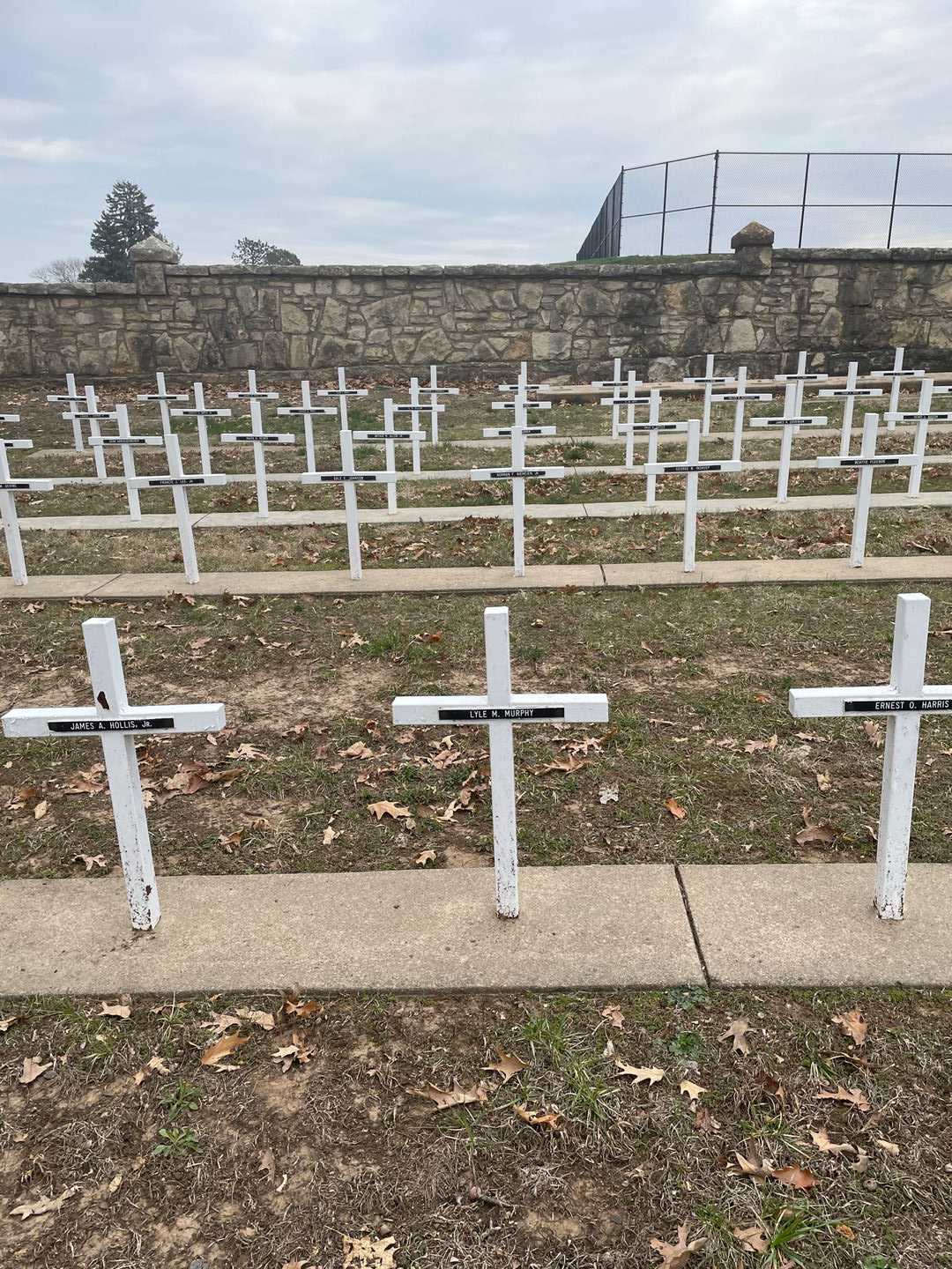 Lyle M. Murphy's grave. Photo 2