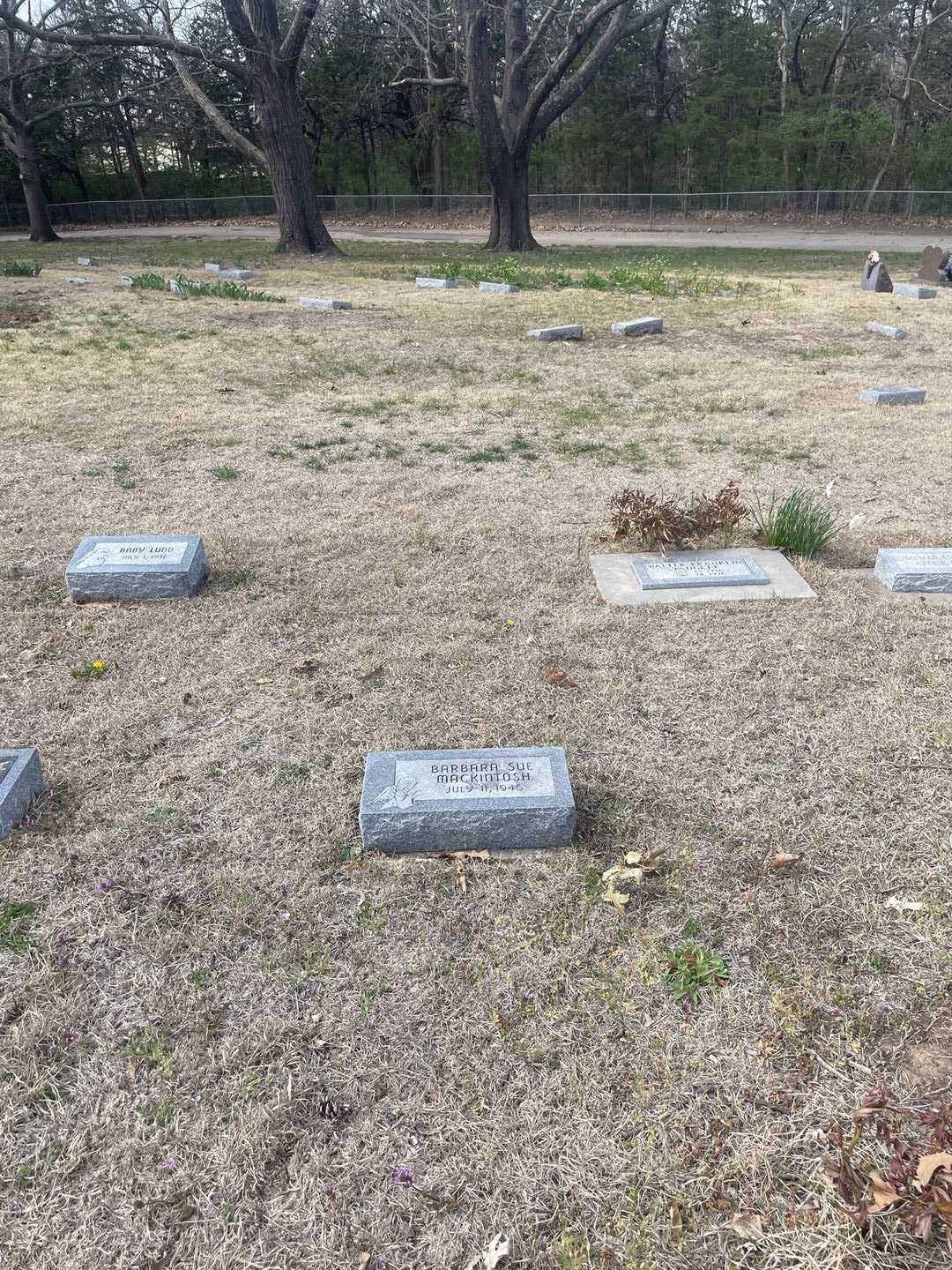 Barbara Sue Mackintosh's grave. Photo 2